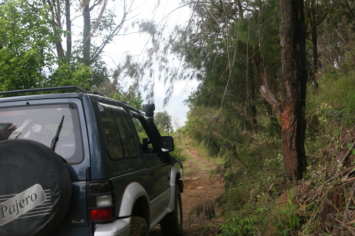 4wd Trip to Rathdowney & Mt Barney National Park